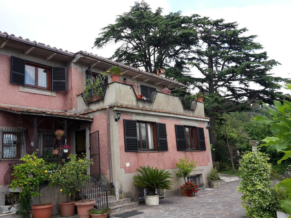 Bed&Breakfast "Fiorella" Sul Lago Castel Gandolfo Ngoại thất bức ảnh