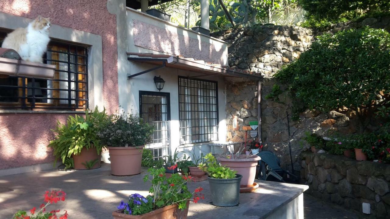 Bed&Breakfast "Fiorella" Sul Lago Castel Gandolfo Ngoại thất bức ảnh